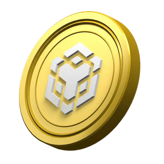 Decorative BNB coin displayed within the platform's information section